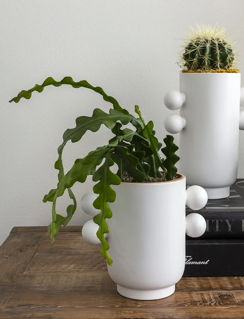 Accent Decor Farley Pot NEW ARRIVAL 2 Accent Decor Farley Pot NEW ARRIVAL