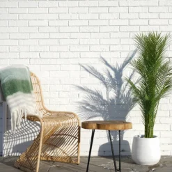 Accent Decor Benji Pot