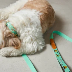 Howlpot Adventure Dog Leash DECOR 28 Howlpot Adventure Dog Leash DECOR