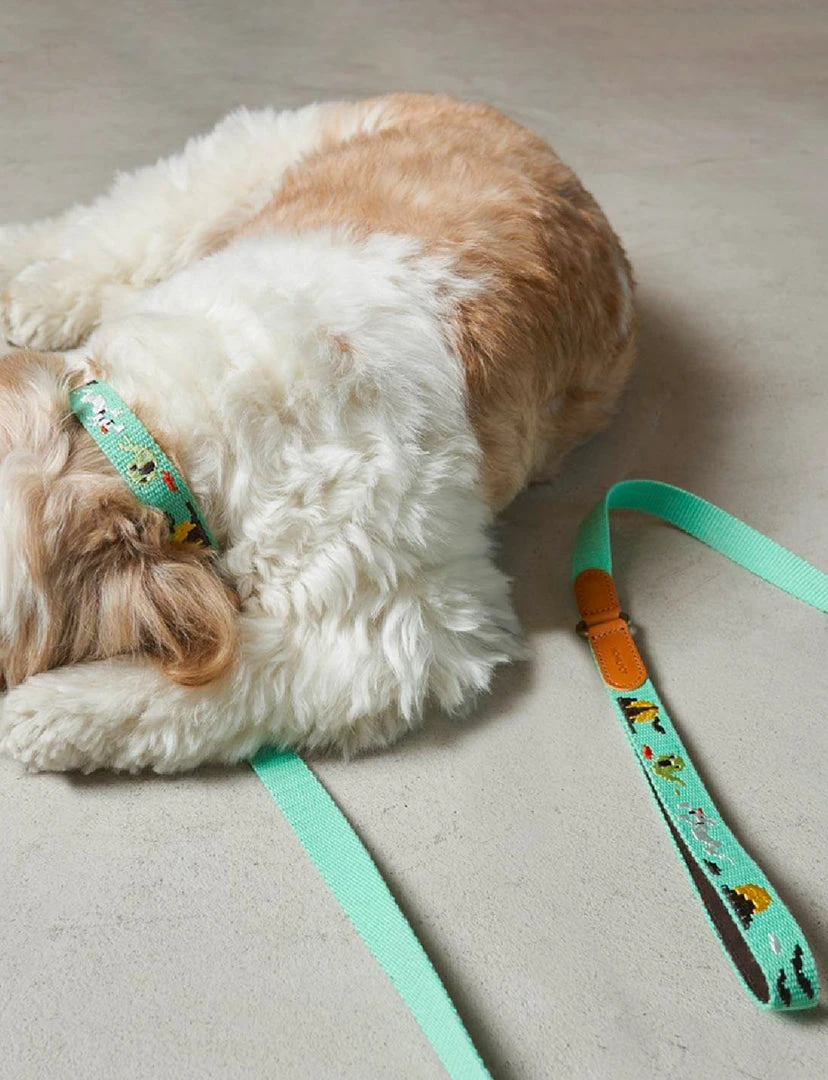 Howlpot Adventure Dog Leash DECOR 12 Howlpot Adventure Dog Leash DECOR