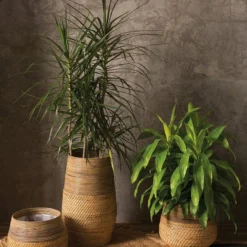 Accent Decor NEW ARRIVAL Guild Pot 5 Accent Decor NEW ARRIVAL Guild Pot