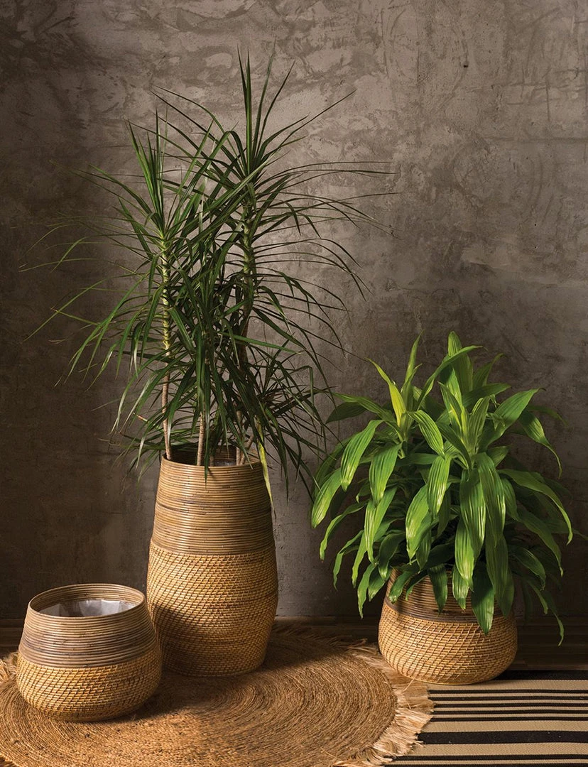 Accent Decor NEW ARRIVAL Guild Pot 3 Accent Decor NEW ARRIVAL Guild Pot