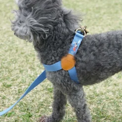 Howlpot Adventure Dog Harness, Sky DECOR