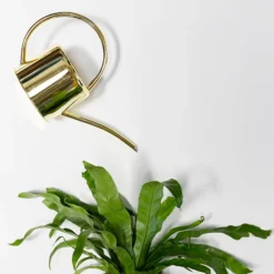Accent Decor Henri Watering Can