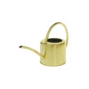 Accent Decor Henri Watering Can