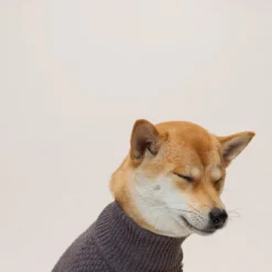 Howlpot High Neck Sweater, Violet