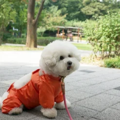 Howlpot DECOR Walking Suit, Orange