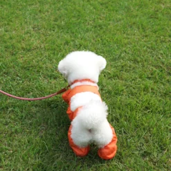 Howlpot DECOR Walking Suit, Orange