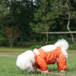 Howlpot DECOR Walking Suit, Orange