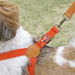 Howlpot Adventure Dog Harness, Mars