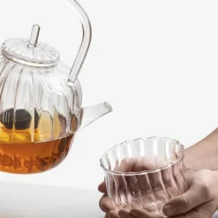 Ichendorf Cha No Yu Teapot W/ Filter