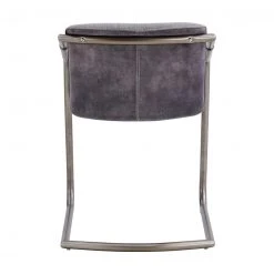 Npd FURNITURE Indie Fabric Dining Chair (set Of 2)