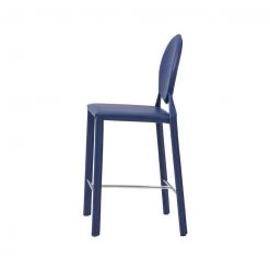 Euro Style Isobel Counter Stool, Set Of 2