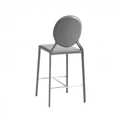 Euro Style Isobel Counter Stool, Set Of 2