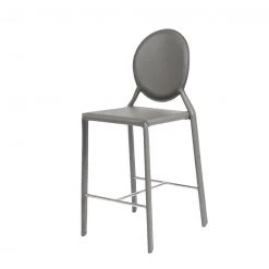 Euro Style Isobel Counter Stool, Set Of 2