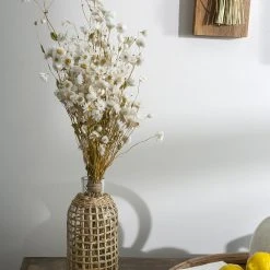 Accent Decor NEW ARRIVAL Jaxon Carafe