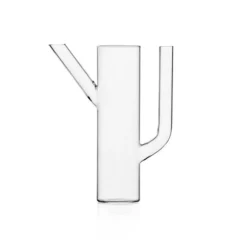 Ichendorf Cactus Jug 4