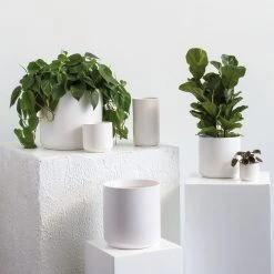 Accent Decor Kendall Pot