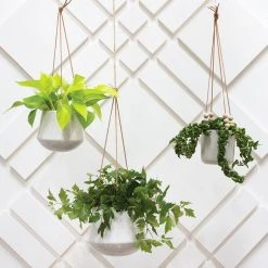 Accent Decor NEW ARRIVAL Kenzie Hanging Pot