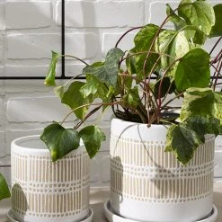 Accent Decor NEW ARRIVAL Linden Pot