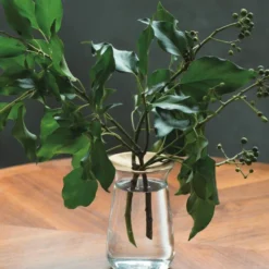 DECOR Kinto Luna Vase 130mm / 7in