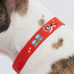 Howlpot Adventure Dog Collar, Mars DECOR