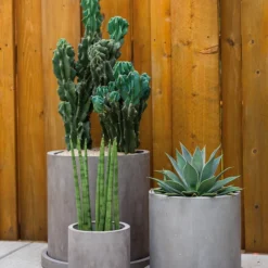 Accent Decor Marta Pot