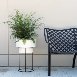 Accent Decor Moa Plant Stand