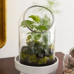 Accent Decor NEW ARRIVAL Nixie Plant Stand