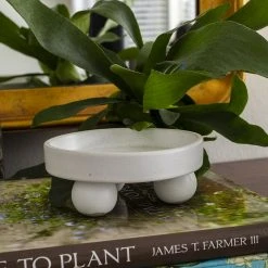 Accent Decor NEW ARRIVAL Nixie Plant Stand