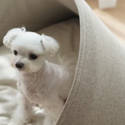 Howlpot Howly Pet Bed DECOR