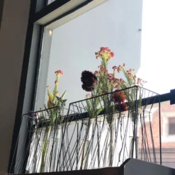 Accent Decor Optic Stand