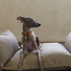 Howlpot My Territory Pet Bed DECOR