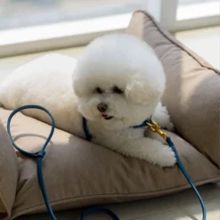 Howlpot My Territory Pet Bed DECOR 10 Howlpot My Territory Pet Bed DECOR