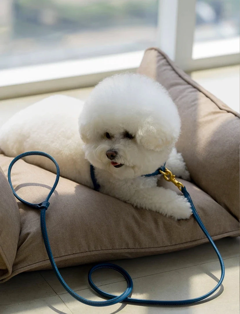 Howlpot My Territory Pet Bed DECOR 3 Howlpot My Territory Pet Bed DECOR