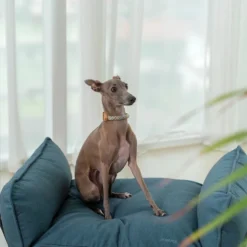 Howlpot My Territory Pet Bed DECOR 14 Howlpot My Territory Pet Bed DECOR