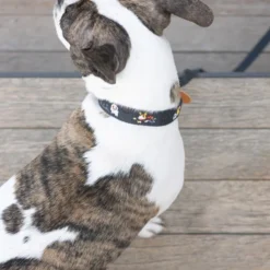 Howlpot Adventure Dog Collar, Gotham DECOR