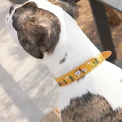 Howlpot Adventure Dog Collar, Sahara DECOR