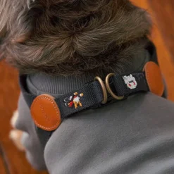 Howlpot DECOR Adventure Dog Harness, Gotham