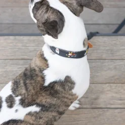 Howlpot Adventure Dog Leash DECOR 24 Howlpot Adventure Dog Leash DECOR