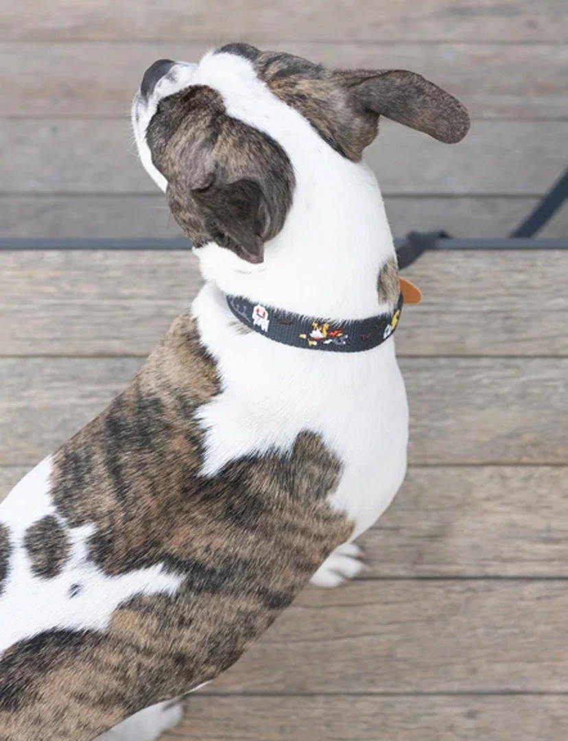 Howlpot Adventure Dog Leash DECOR 8 Howlpot Adventure Dog Leash DECOR