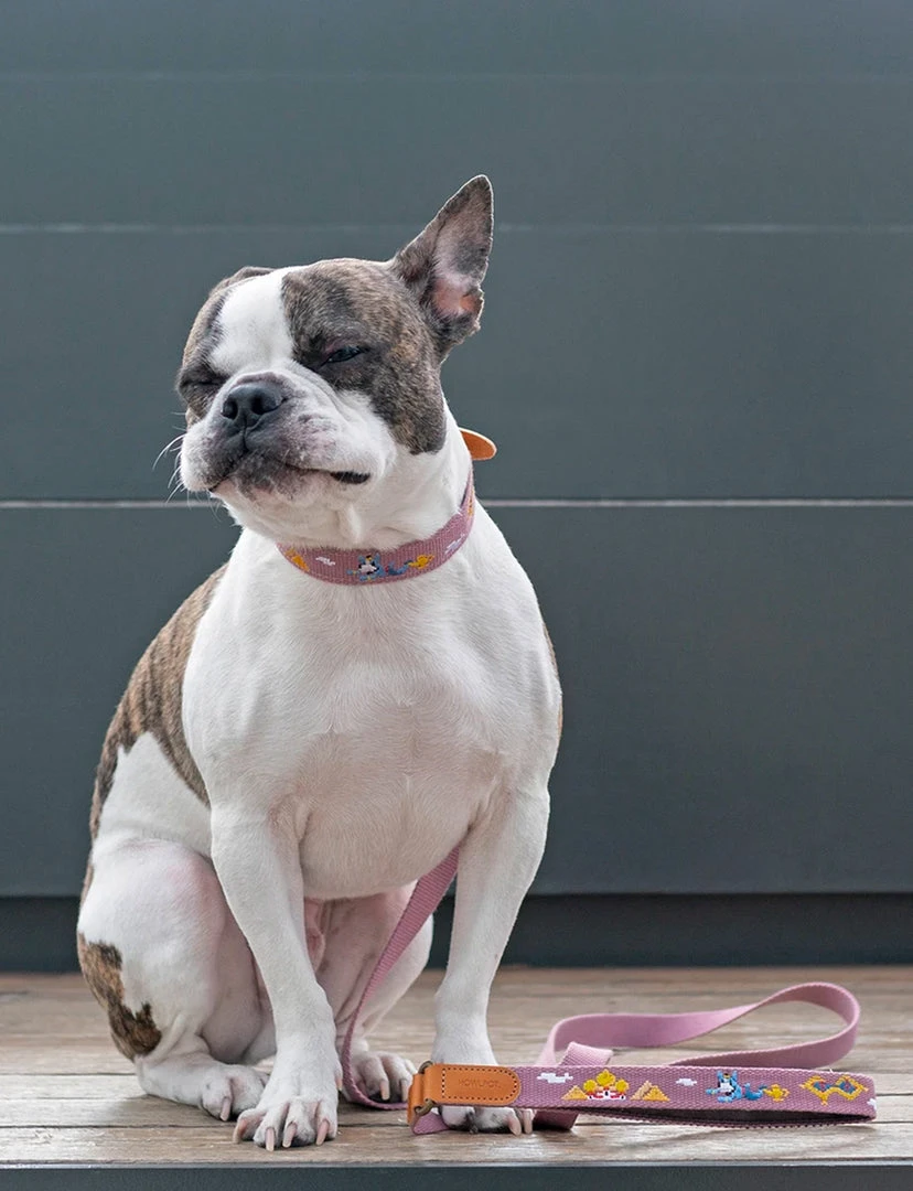 Howlpot Adventure Dog Leash DECOR 2 Howlpot Adventure Dog Leash DECOR