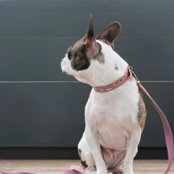 Howlpot Adventure Dog Leash DECOR 19 Howlpot Adventure Dog Leash DECOR