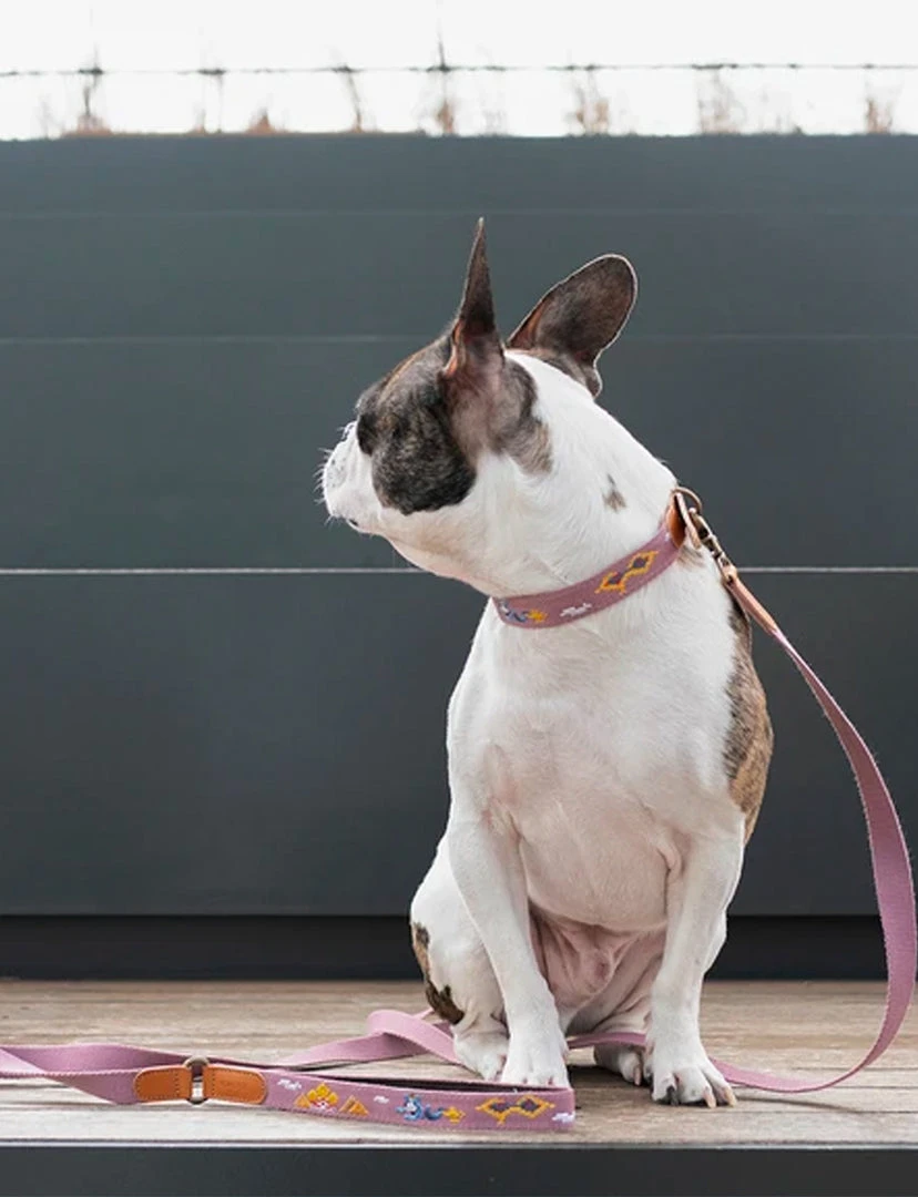 Howlpot Adventure Dog Leash DECOR 3 Howlpot Adventure Dog Leash DECOR