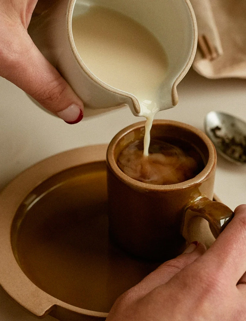 Departo Pitcher NEW ARRIVAL 4 Departo Pitcher NEW ARRIVAL