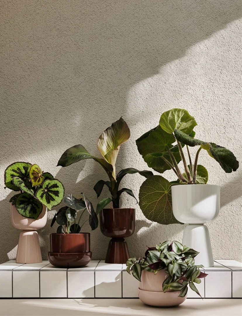 Iittala Nappula Plant Pot / 230 MM 5 Iittala Nappula Plant Pot / 230 MM