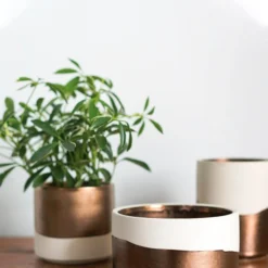 Accent Decor Qdoba Pot