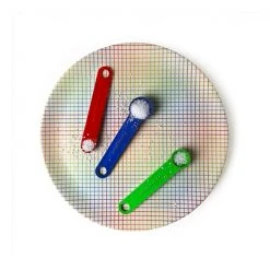 Xenia Taler Rainbow Grid Dinner Plate 10" NEW ARRIVAL