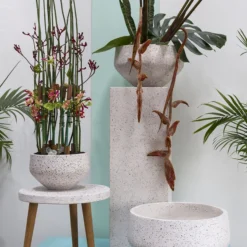 Accent Decor Razzo Pot