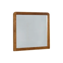Coaster Ron Mirror